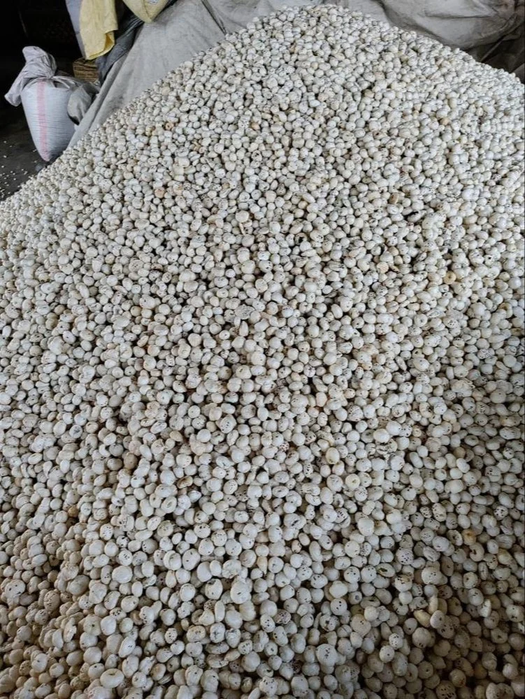 Premium Roasted Makhana (Fox Nuts)